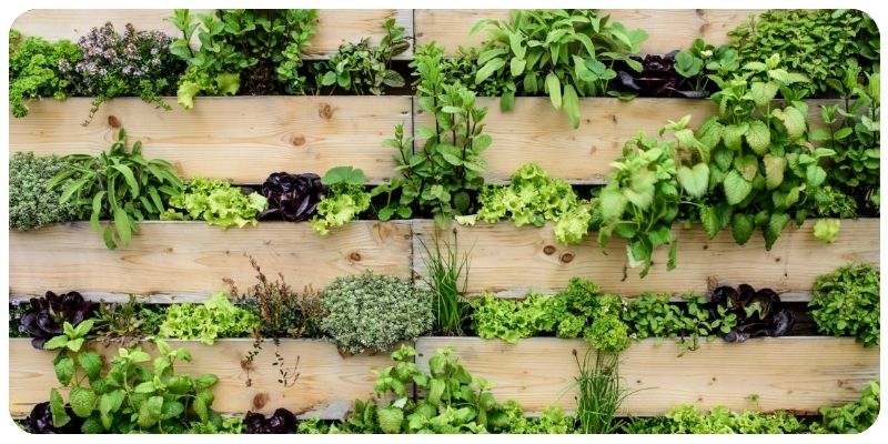 Maximizing Space: Vertical Gardening for Small Spaces