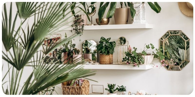 How to Keep Your Indoor Garden Thriving in Winter